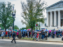 Expand the Judiciary