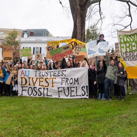 Divestment, Working Groups, and the Invisible Investment Portfolio